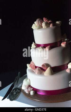 The white wedding cake, decorated with the violet soil and sugar shells. Selective focus. Stock Photo