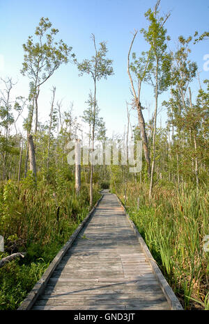 Goose Creek State Park Stock Photo