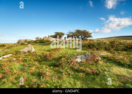 Combestone Tor near Hexworthy on Dartmoor in Devon Stock Photo