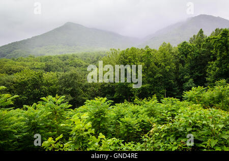 Great Smoky Mountains National Park Stock Photo