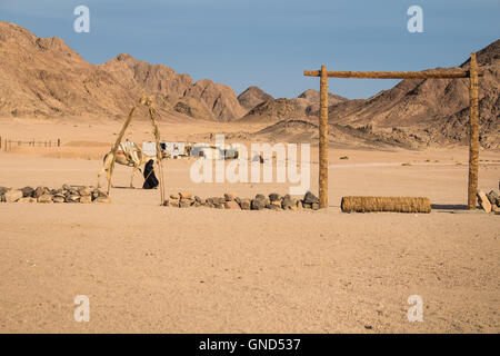 Bedouin village in the desert in Egypt. Plane terrain and high mountains. Lady with camel. Cloudy early evening sky. Stock Photo