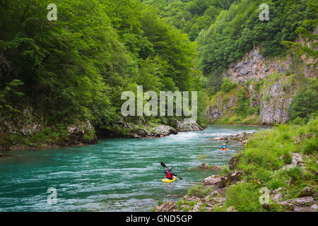 Montenegro.  Durmitor National Park.  Kayaking on the Tara River in the Tara Canyon. The Park is a UNESCO World Heritage Site. Stock Photo