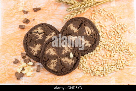 Chocolate chip brown cookies on orange background Stock Photo