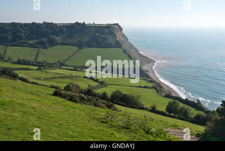 View along the route of the South West Coast Path from Salcombe Hill to Higher Dunscombe Cliffs on Devons Jurassic Coast Stock Photo