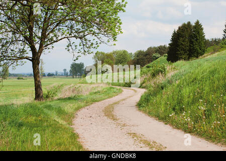 country ground winding road or rural beautiful landscape Stock Photo