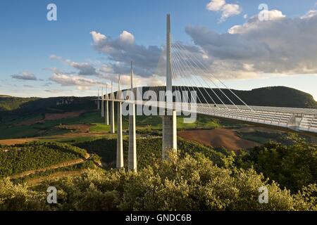 The world famous Millau viaduct captured in the evening light Stock Photo