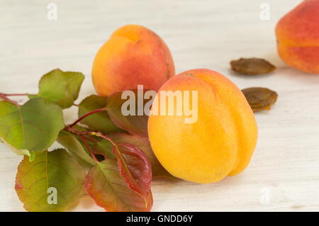 Fresh Apricot fruit with leaves and branch Stock Photo