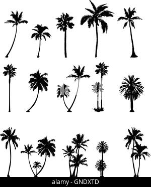 palm tree silhouette collection Stock Vector