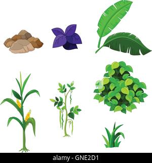 various plants cartoon set for you design Stock Vector