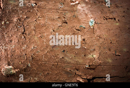 macro of single brick texture with rough surface Stock Photo