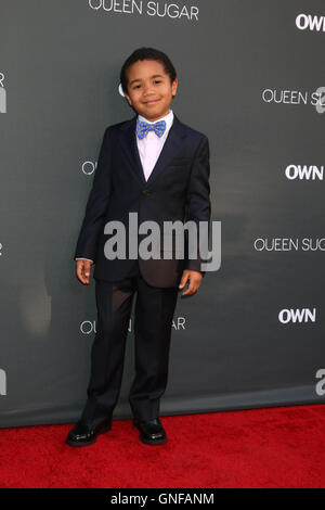 Burbank, Ca. 29th Aug, 2016. Ethan Hutchison at the Premiere Of OWN's 'Queen Sugar,' Warner Brothers Studios, Burbank, CA 08-29-16 Credit:  David Edwards/Media Punch/Alamy Live News Stock Photo