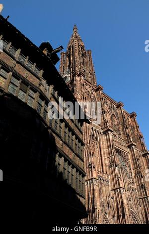 The tower of the Cathedral of Our Lady of Strasbourg towers above the Maison Kammerzell (FRONT), a former merchant's house from 1427, which today houses a hotel and restaurant, in Strasbourg, France, 21 July 2016. Photo: Stefan Jaitner/dpa - NO WIRE SERVICE - Stock Photo