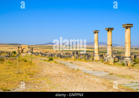 Roman ruins in Volubilis, UNESCO World Heritage Site, Morocco Stock Photo
