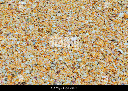 Shell beaches on the Black Sea coast. Opuksky Reserve is located on the southern coast of Kerch Peninsula. Stock Photo