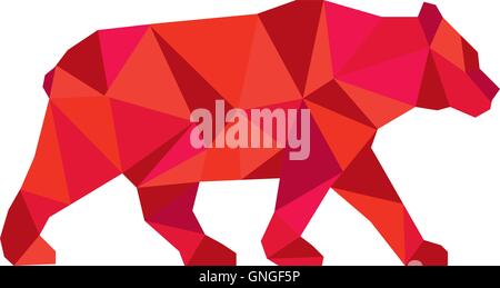 American Black Bear Walking Low Polygon Stock Vector