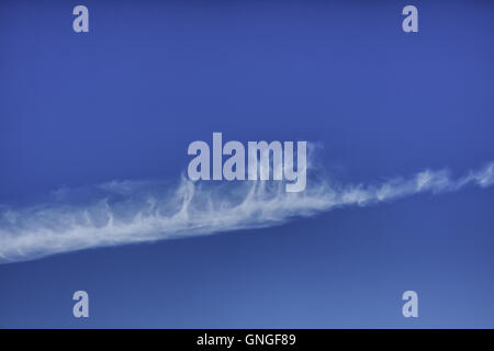 Gentle puff on blue sky Stock Photo