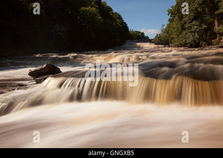 The Aysgarth Falls near Aysgarth on the River Ure , Wensleydale , Yorkshire Dales Stock Photo