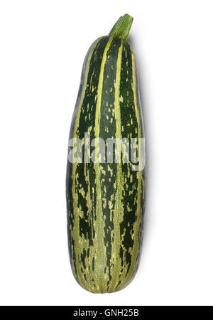 Marrow Stock Photo