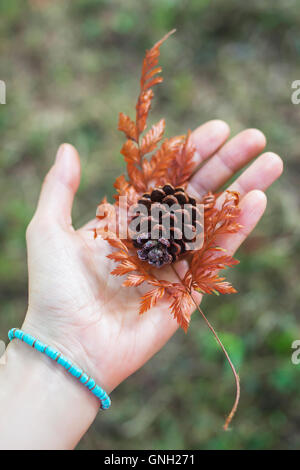 Close-up of a woman holding autumn leaf and pine cone, Bali, Indonesia Stock Photo