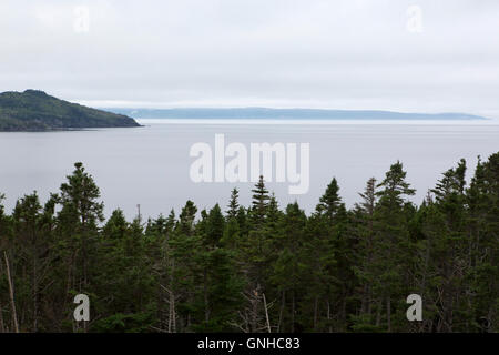 A view of the coastline and woodland from the Doctor's House Inn and Spa at Green's Harbour in Newfoundland and Labrador, Canada Stock Photo