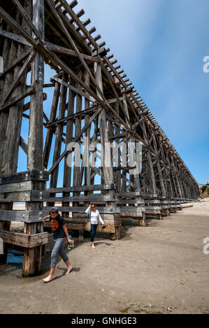 The Pudding Creek Trestle bridge in Fort Bragg California Stock Photo