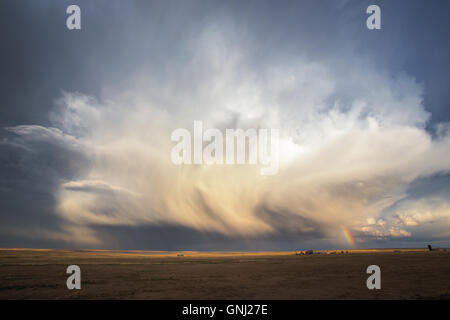 Storm cloud over fields, Colorado, United States Stock Photo