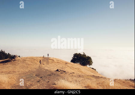 Father and two children hiking, Mount Tamalpais, California, United States Stock Photo