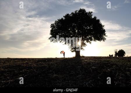 Silhouette of a Woman standing under tree with umbrella, Niort, France Stock Photo