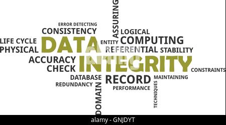 word cloud - data integrity Stock Vector