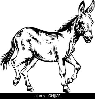 Donkey Stylized Drawing Illustration Vector Stock Vector