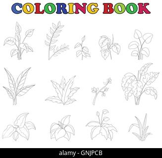 coloring book of set tropical plant Stock Vector