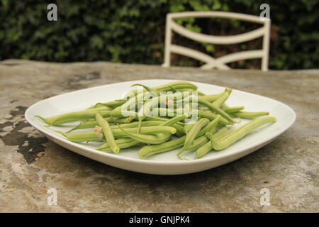 Home grown food. Green French beans on plate on metal garden table with chair. Harvest, allotment produce. Beverley, England Stock Photo