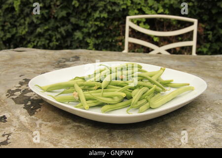 Home grown food. Green French beans on plate on metal garden table with chair. Harvest, allotment produce. Beverley, England Stock Photo