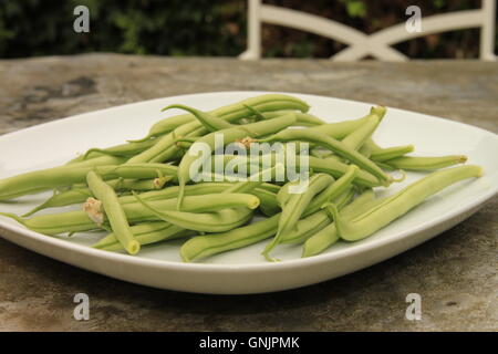 Home grown food. Green French beans on plate on metal garden table. Harvest, allotment produce. Beverley, England Stock Photo