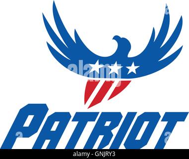 American Eagle Flying USA Flag Patriot Retro Stock Vector