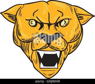 Angry Cougar Mountain Lion Head Drawing Stock Vector