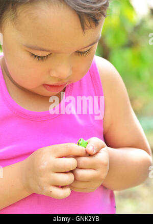 Tiny frog on hands Stock Photo