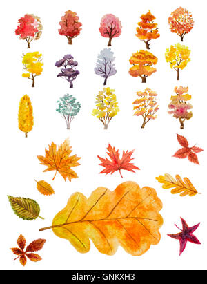 watercolor set of autumn trees and leaves. hand painted illustration Stock Photo