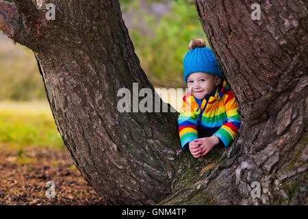 Little boy hiding behind big tree. Happy children playing in beautiful autumn park on cold sunny fall day. Kids in warm jackets Stock Photo