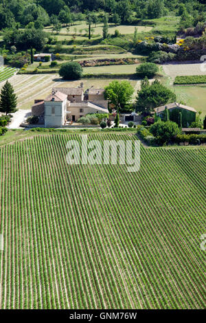 Panoramic view from Menerbes hilltop village of  vineyard Luberon Provence France Stock Photo