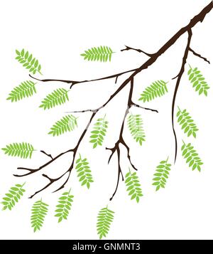 branch with green leaves Stock Vector