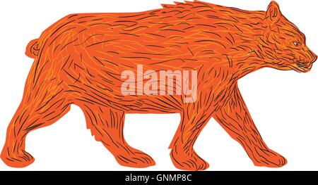 American Black Bear Walking Side Retro Stock Vector