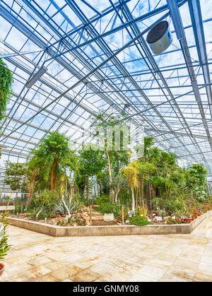 Tropical Plants in greenhouse at botanic garden Stock Photo