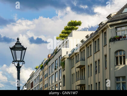 High-class real estate with rooftop trees in Berlin Mitte, Germany