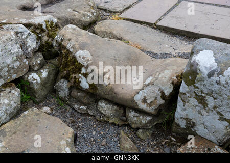 Northumberland, England, UK. Wagon and Chariot Wheel Ruts in Stone at ...