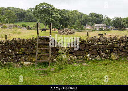 Northumberland, England, UK.  Ladder Stile over Farmer's fence on Hadrian's Wall Footpath, near Chollerford. Stock Photo