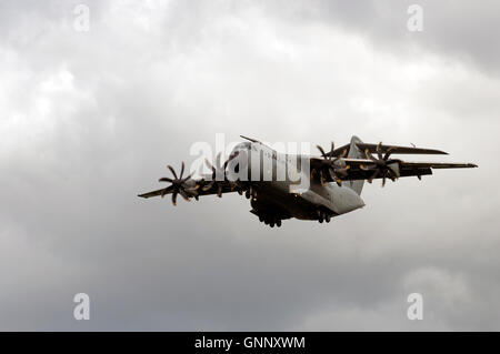 Airbus A400M transporter coming into land at Woodbridge airfield, Suffolk, UK. Stock Photo