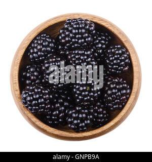 Blackberries in a wooden bowl on white background. Black edible ripe fruit of Rubus fruticosus. Stock Photo