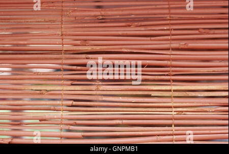 Natural curtain Stock Photo