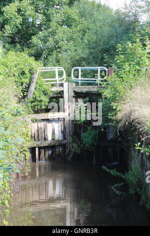 lock gate overgrown and old Stock Photo